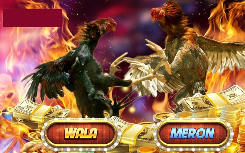 Ba hình thức đặt cược nổi bật tại game Đá Gà 