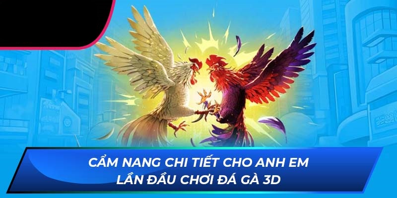 Chiến thuật thông minh Đá Gà 3D tại OK88 